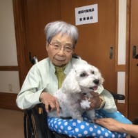 ハローアニマル🐕