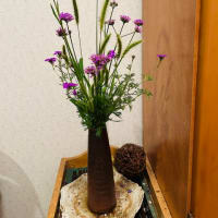 椅子と花とブローチ