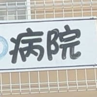混合ワクチン接種は無事（？）終了