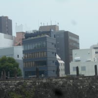 まさか夏霞み？？