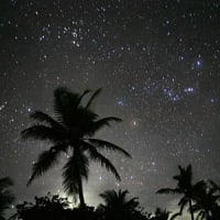 夏の夜