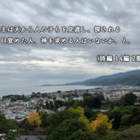 自作ポストカード♪(23)