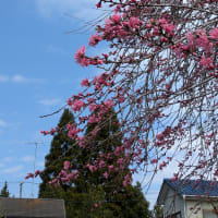 灯台下暗し、というか