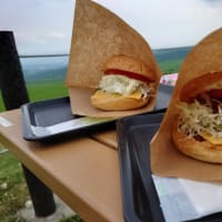北の大地でよっつめハンバーガーどうでしょう