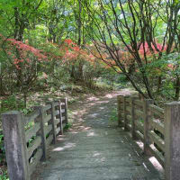 高校入学以降