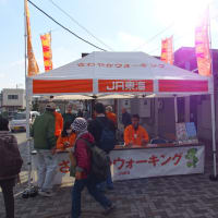❹幸田の新年の風物詩「こうた凧揚げまつり」と鷲田神明宮で新春詣　ゴール