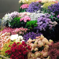 チカホコ　お花がたくさん！