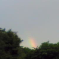 今月２回目の虹