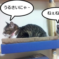 休憩中？