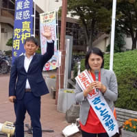 総選挙最終日、政党カーや候補者カーから最後の訴え
