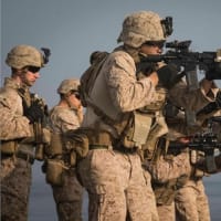 米軍の国内投入