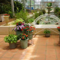 「松阪農業公園ベルファームの初夏の花」見てきました～(^^)  2025
