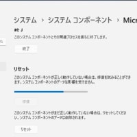 Windows 11 Canary Build 27898.1000 にアップデートしたら、Microsoft Store が起動できなくなりました！！