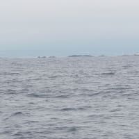 奥尻海峡！