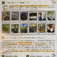温泉無い～　草津良いと～こ　2025/06/15