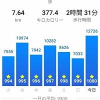 ２０２２年８月２６日　連続１０００日を達成しました　