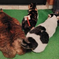 近年稀にみる不整合(；ﾟДﾟ)