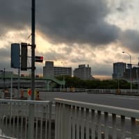 大井北埠頭橋から