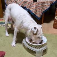 形あるもの　いつかは壊れる