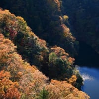 gooブログを始めた１７年前をふりかえる
