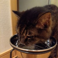 実は自力で出来る