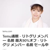 Temuの通販広告が意味不明（中国資本の米国の会社らしい）