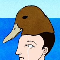 野性の目