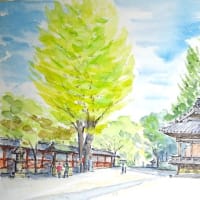 天候に恵まれた一日、根津神社でのスケッチです
