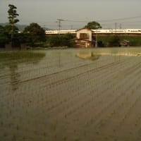 鹿児島本線415系　次々に来る列車を坦々と　2006-06-03