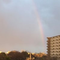 昭島市では虹が見えました