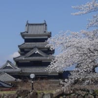 「松本城桜祭り②」二の丸より撮影～写真と短歌で綴る世界文化紀行