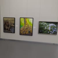 第52回岩国絵画クラブのクラブ展が開催されました。　　　2025/6/12