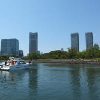ＧＷは浜離宮でまったりと。。。