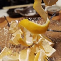 ｢霜柱と蝋梅の森｣高知編。JULIEは９年ぶりの高知オレンジホール