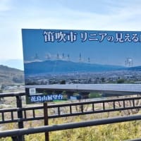 わに塚の一本桜　2025