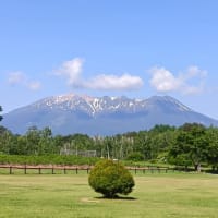 今日も暑くなりそう…