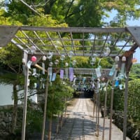 満願寺まで吹かれて｡｡