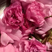 桜の塩漬け作ってみた