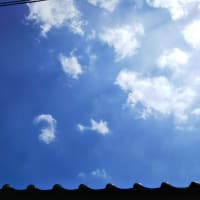 ねじねじ（産靈むすび）埋めました。