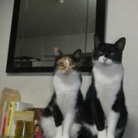 　　ラブラブ(#^.^#)