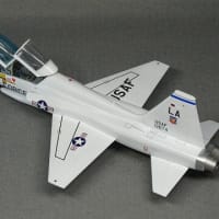 Northrop　F-5B　Freedom Fighter／T-38 Talon／F-20 Tiger shark⑬
