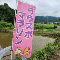 またもや「うらスポマラソン」のコースを走ってきた。