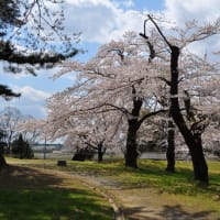 多賀城碑（壺の碑）/多賀城市