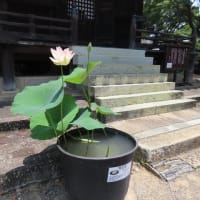 道成寺