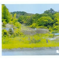 政治団体からの岡山市長への抗議文