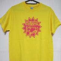 ROCK Tシャツ:SEX PISTOLS★THE GREAT ROCK'N'ROLL SWINDLE
