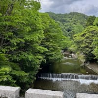 若葉麗し五月日和