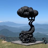 お盆の出来事