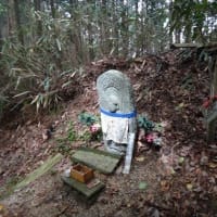 久し振りに金剛山に登った２