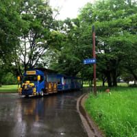 雨天強行